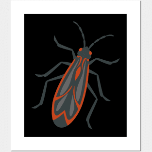 boxelder bug- bug lovers Posters and Art